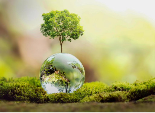 ecologia.png